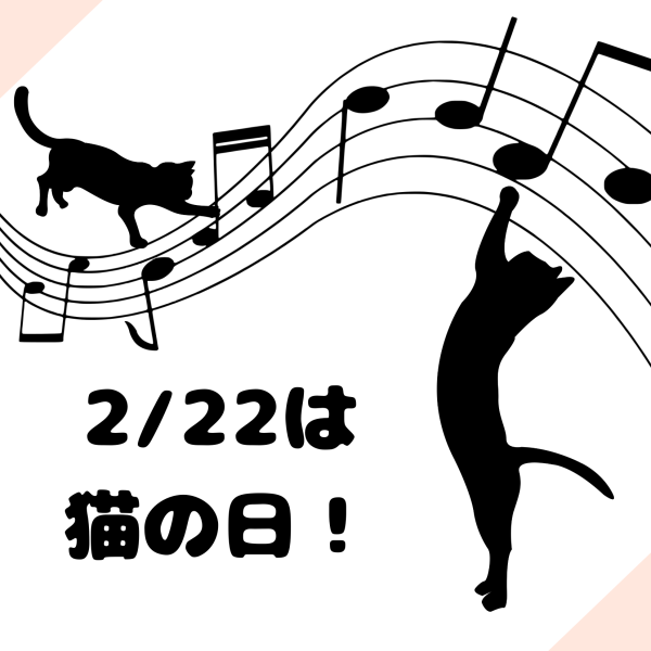 🐈2/22は猫の日🐈