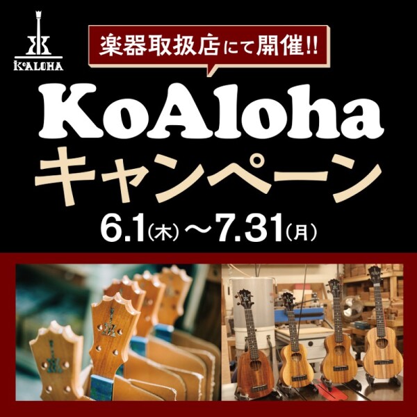 ♪Koaloha　ウクレレキャンペーン♪