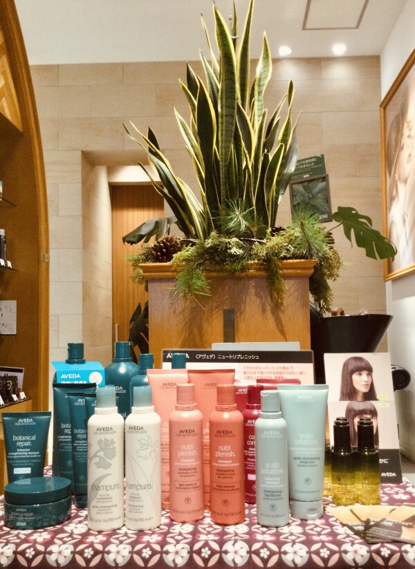 たまプラーザテラス シエルアヴェダ周年祭