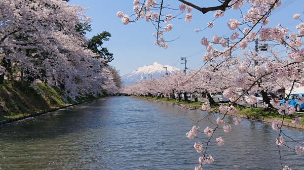 ★発売情報★４月からの国内旅行★