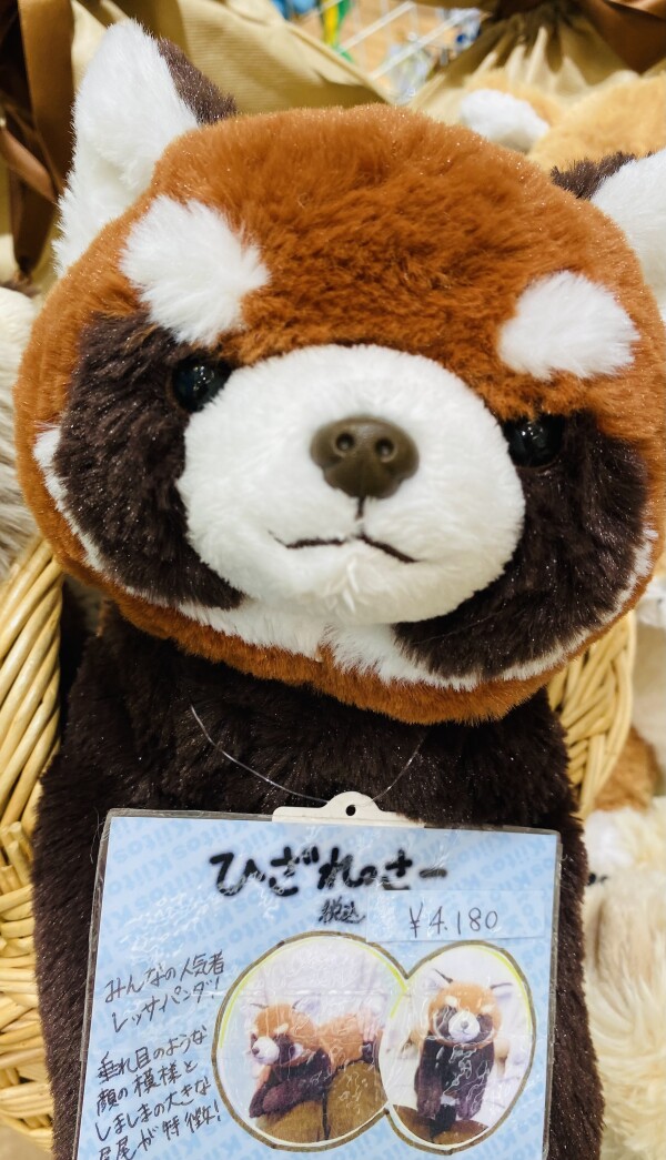 秋の夜長のオトモ🐼
