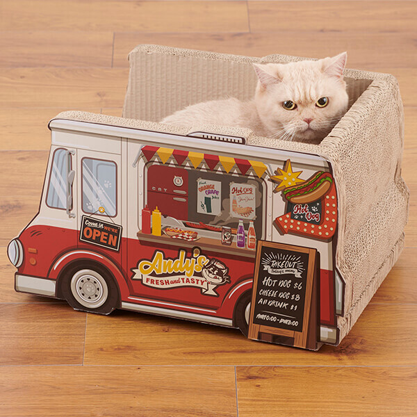 新作爪とぎ登場🐱‼️