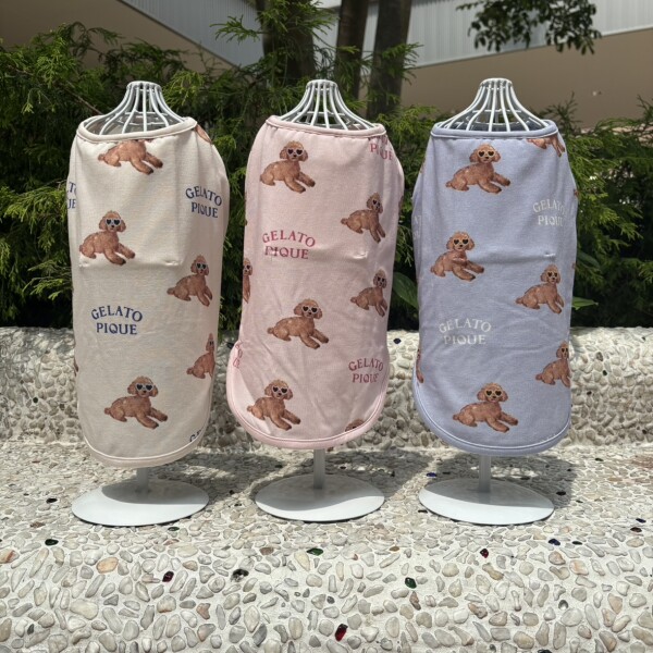 新作ジェラートピケ入荷♪