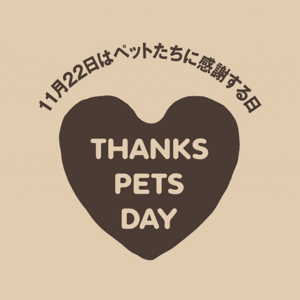 11/22は何の日…？？