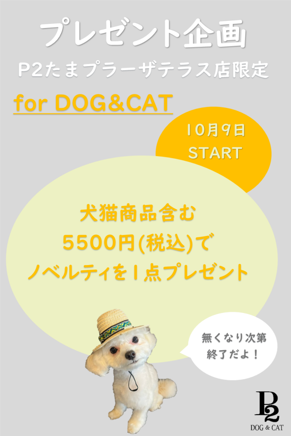 ノベルティプレゼント♪