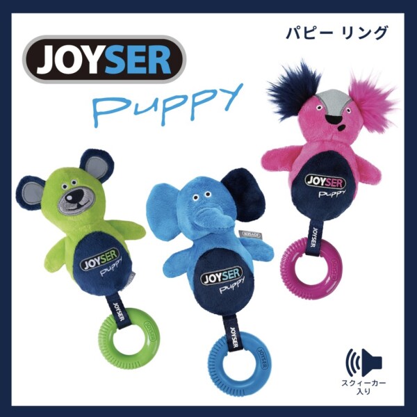 ユニークで可愛いワンちゃん向けおもちゃのご紹介です！