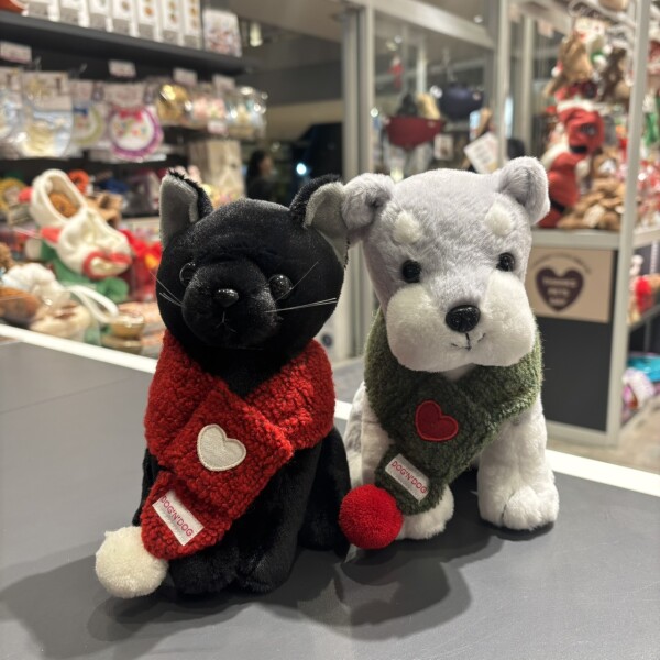 可愛いマフラー入荷しました🧣