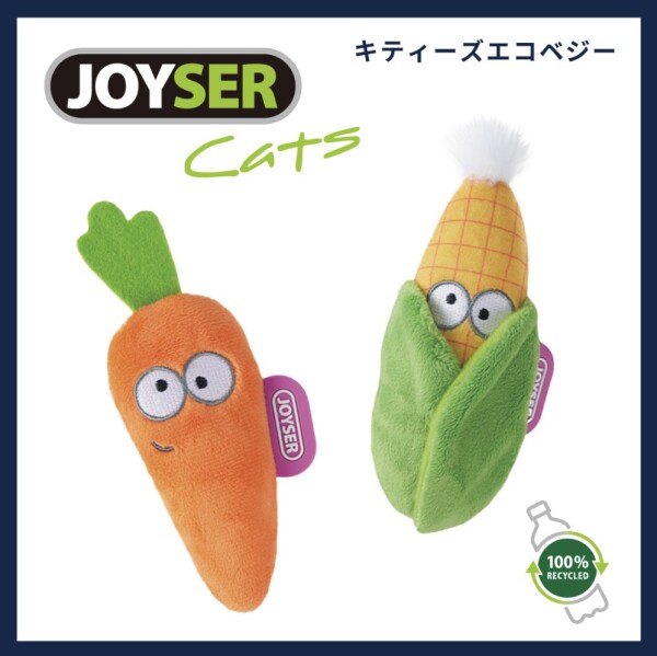 キュートでエコな猫用おもちゃのご紹介です！🐈