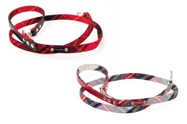 「Toto＆Pal」秋冬シーズン一押しハーネスのご紹介です！