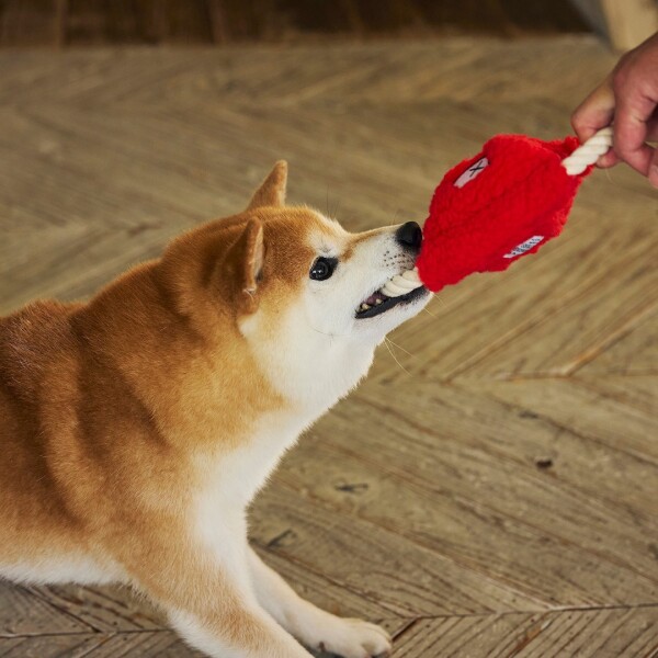 当店人気のおもちゃご紹介♪