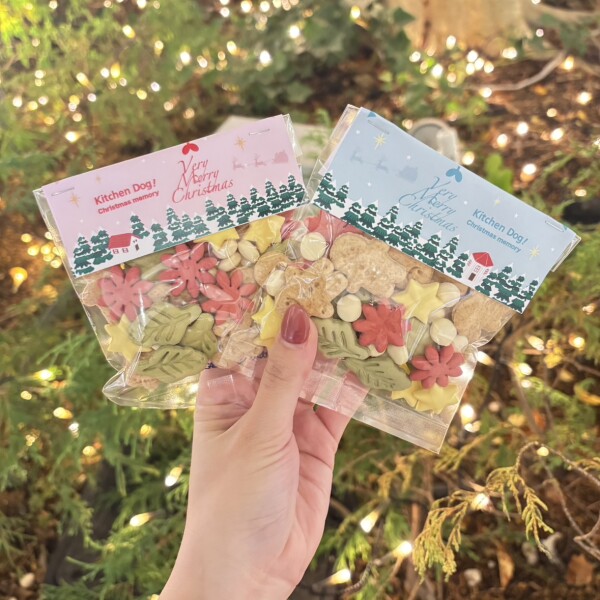 クリスマスクッキー入荷しました♬