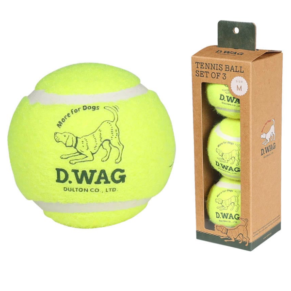 ダルトン犬用テニスボールおもちゃのご紹介です！