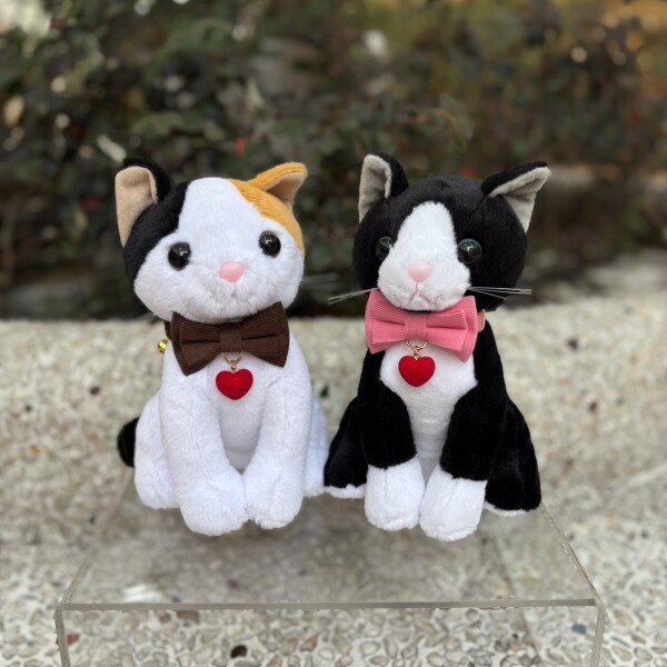 新しい猫首輪はいかがでしょうか？🐈