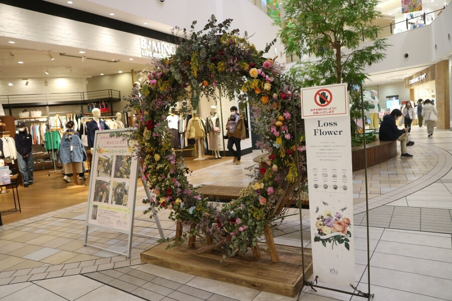 ロスフラワーリース展示／ドライフラワーお渡しイベント