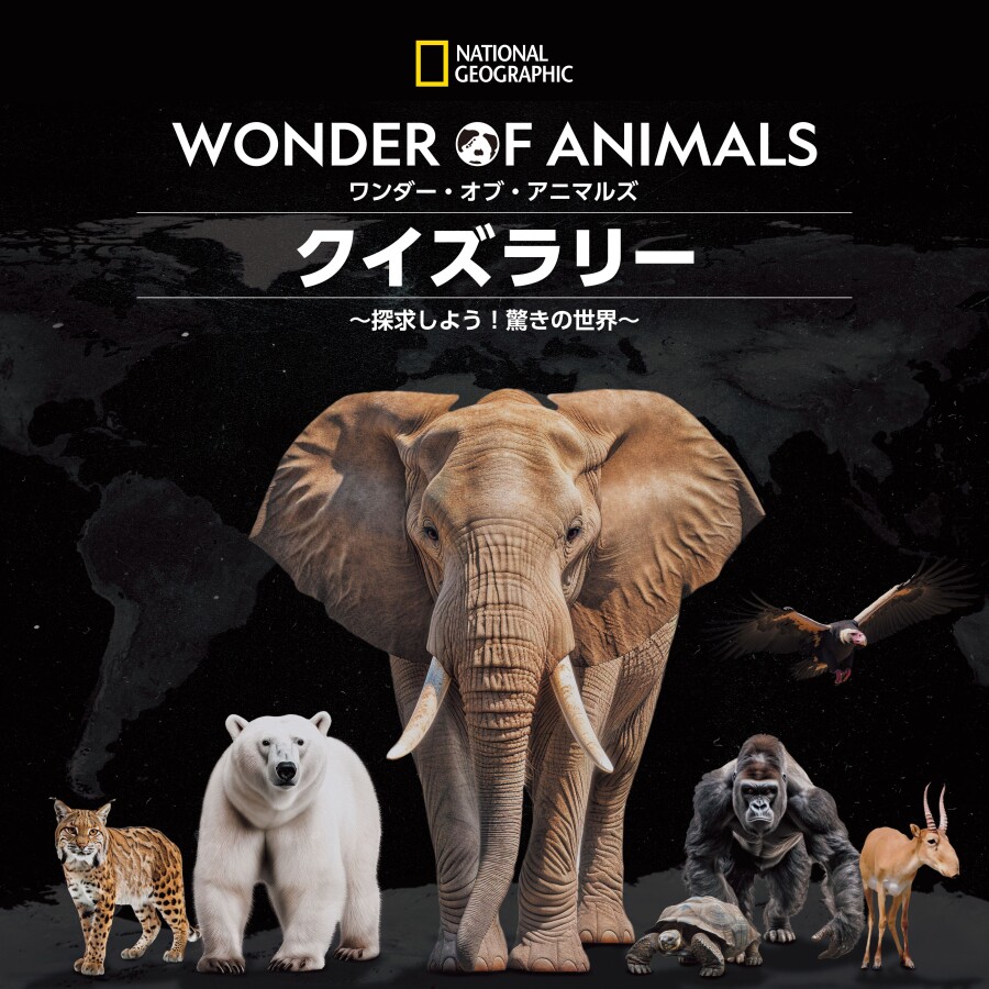 ナショナル ジオグラフィック WONDER OF ANIMALS クイズラリー