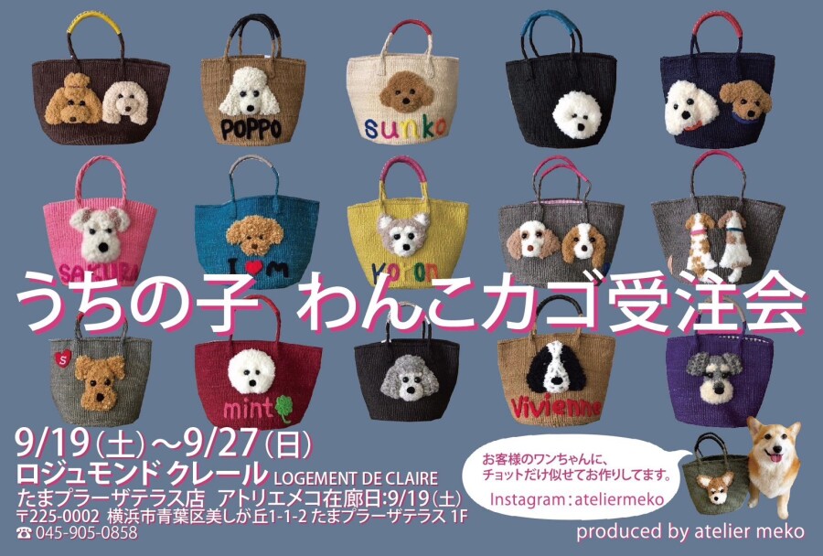 速報！アトリエメコ【うちの子わんこカゴ受注会】開催
