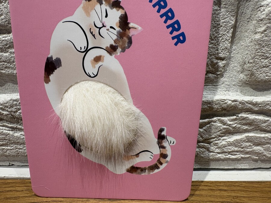 猫好き必見のポストカード