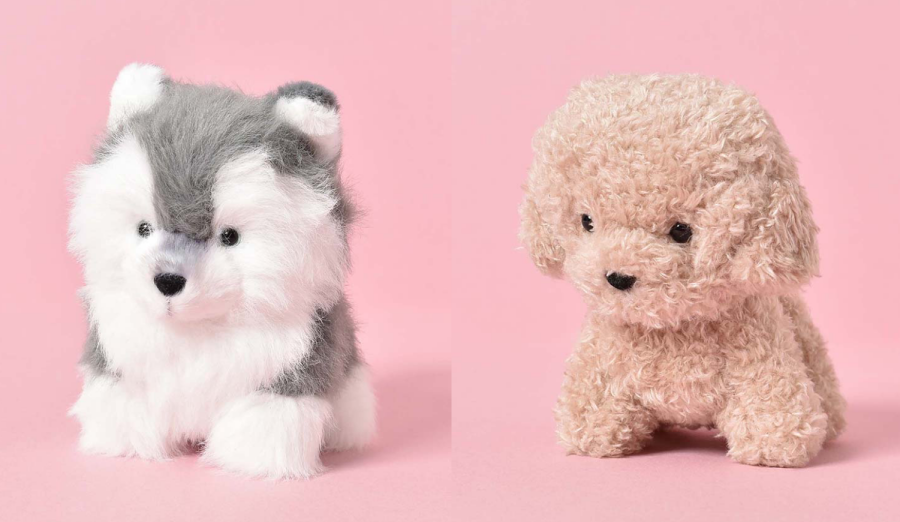 わたぽ　ふわふわな犬たち！