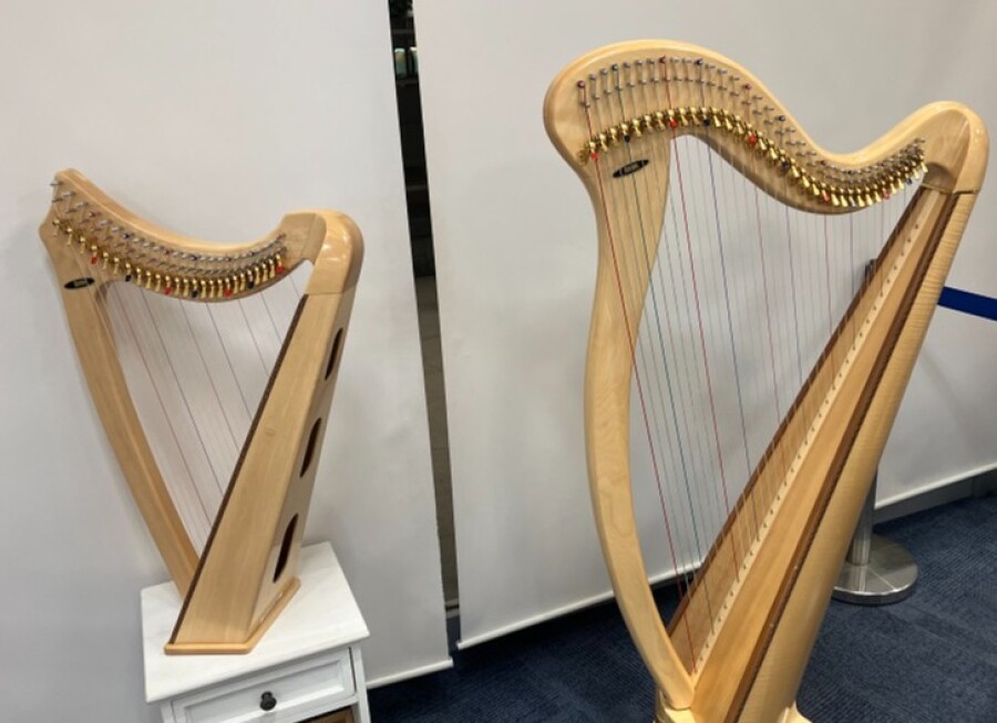 【山野楽器の音楽教室】ハープコース体験大募集中🌼