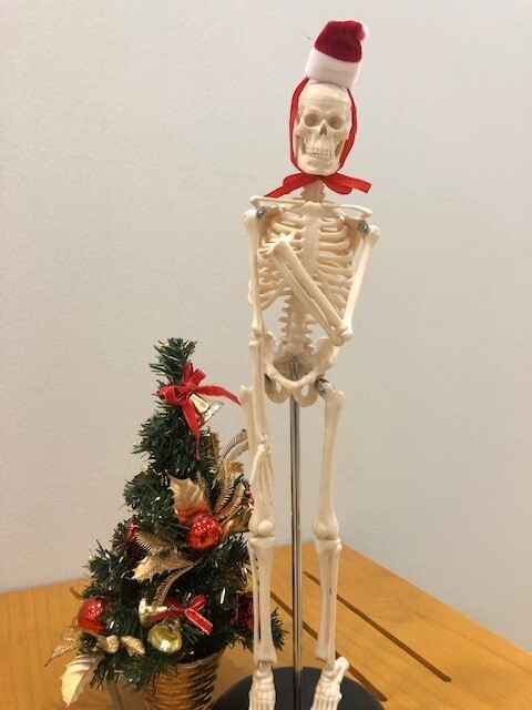 🎅クリスマスシーズンの特別講座🎄
