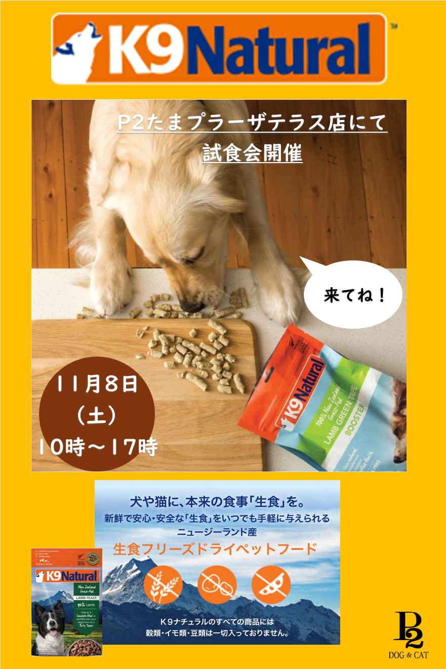 11/8はP2DOG＆CATに遊びに来てね♪