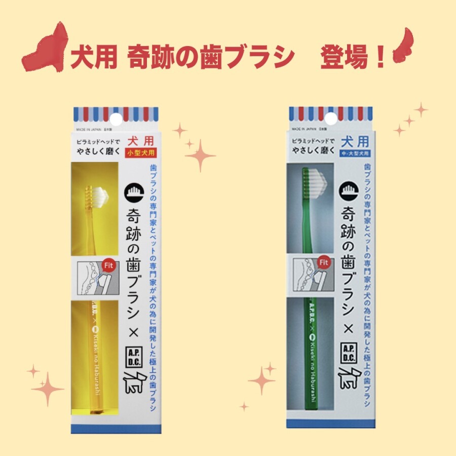 犬用 奇跡の歯ブラシが登場しました！